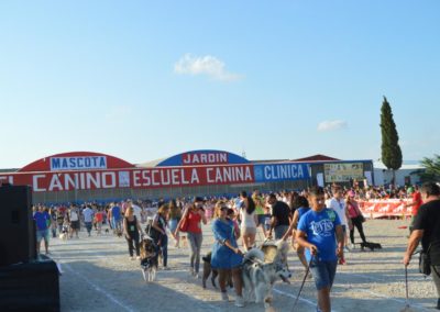 festival-canino-mascota-jardin-2016-291-1024x768
