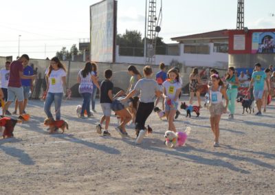 festival-canino-mascota-jardin-2016-119-1024x768