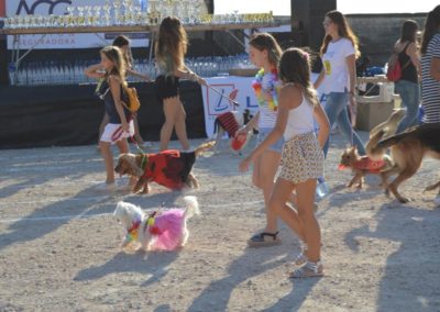 festival-canino-mascota-jardin-2016-122-1024x768