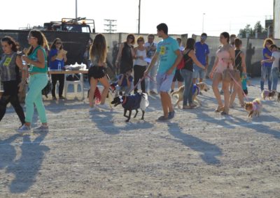 festival-canino-mascota-jardin-2016-124-1024x768