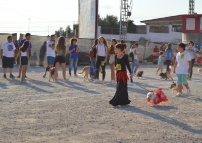 festival-canino-mascota-jardin-2016-125-1024x768