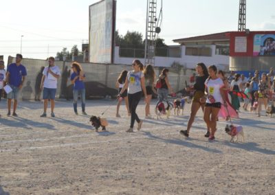 festival-canino-mascota-jardin-2016-126-1024x768