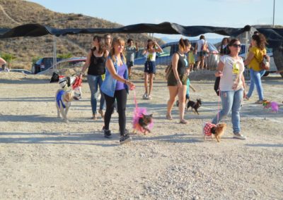 festival-canino-mascota-jardin-2016-140-1024x768