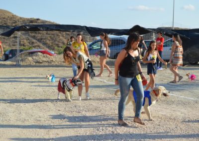 festival-canino-mascota-jardin-2016-141-1024x768