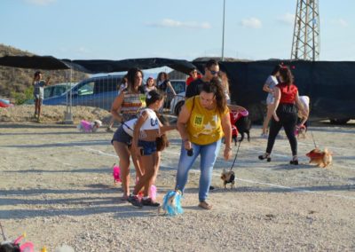 festival-canino-mascota-jardin-2016-143-1024x768