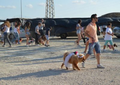 festival-canino-mascota-jardin-2016-147-1024x768