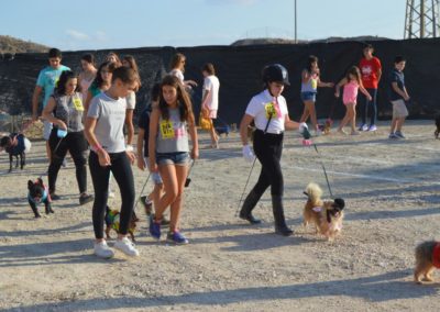 festival-canino-mascota-jardin-2016-166-1024x768