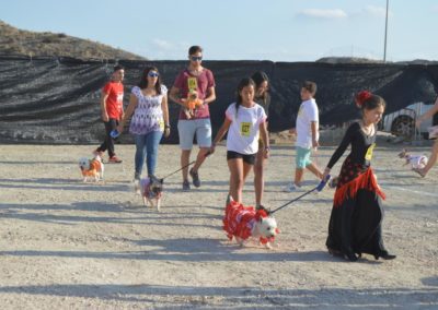 festival-canino-mascota-jardin-2016-175-1024x768