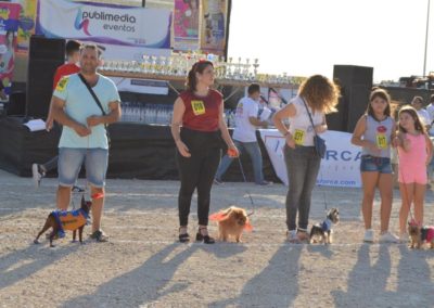 festival-canino-mascota-jardin-2016-189-1024x768