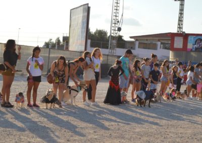 festival-canino-mascota-jardin-2016-192-1024x768