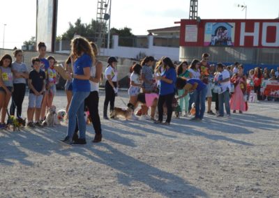 festival-canino-mascota-jardin-2016-195-1024x768