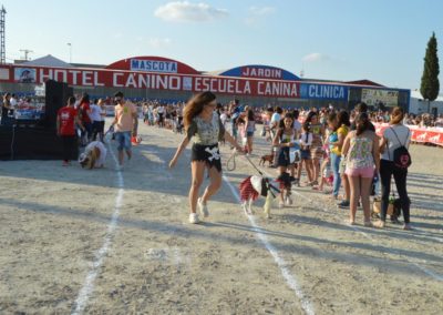 festival-canino-mascota-jardin-2016-235-1024x768