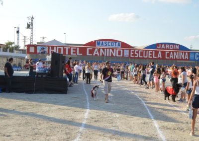 festival-canino-mascota-jardin-2016-244-1024x768