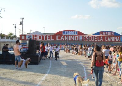 festival-canino-mascota-jardin-2016-247-1024x768