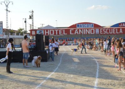 festival-canino-mascota-jardin-2016-249-1024x768