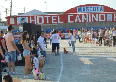 festival-canino-mascota-jardin-2016-264-1024x768