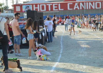 festival-canino-mascota-jardin-2016-265-1024x768