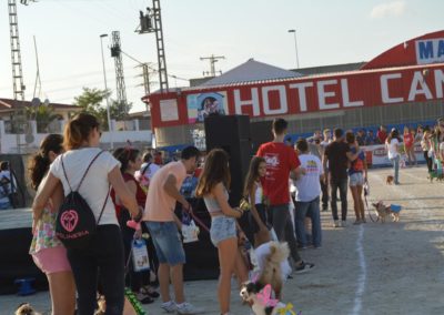 festival-canino-mascota-jardin-2016-266-1024x768