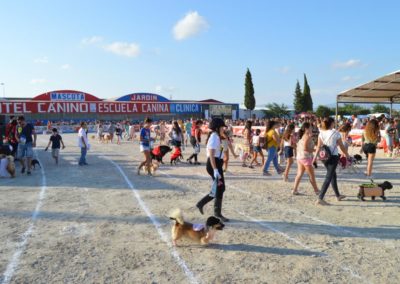 festival-canino-mascota-jardin-2016-268-1024x768