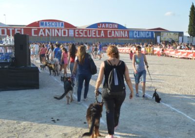 festival-canino-mascota-jardin-2016-274-1024x768