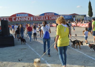 festival-canino-mascota-jardin-2016-276-1024x768