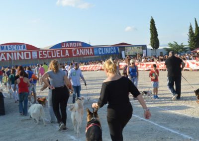 festival-canino-mascota-jardin-2016-279-1024x768