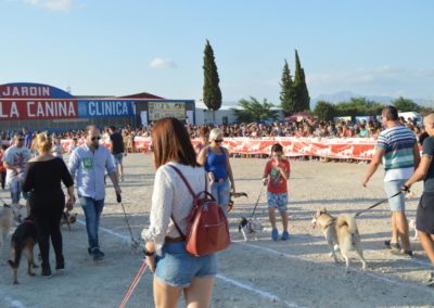 festival-canino-mascota-jardin-2016-280-1024x768