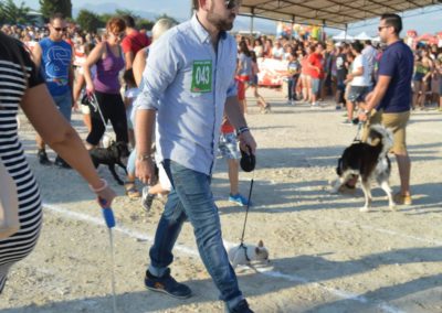 festival-canino-mascota-jardin-2016-281-1024x768