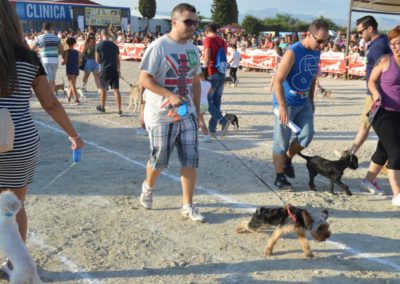 festival-canino-mascota-jardin-2016-282-1024x768
