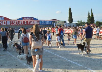 festival-canino-mascota-jardin-2016-283-1024x768