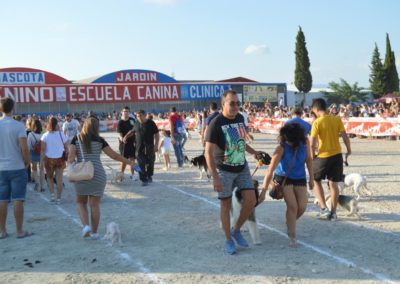 festival-canino-mascota-jardin-2016-284-1024x768