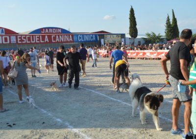 festival-canino-mascota-jardin-2016-285-1024x768