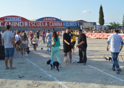 festival-canino-mascota-jardin-2016-286-1024x768