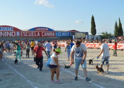 festival-canino-mascota-jardin-2016-288-1024x768