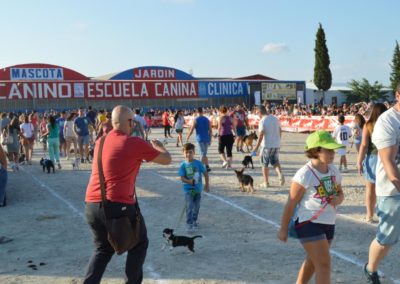 festival-canino-mascota-jardin-2016-289-1024x768