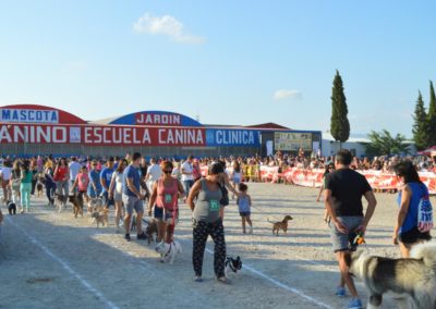 festival-canino-mascota-jardin-2016-290-1024x768