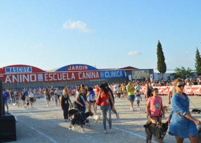 festival-canino-mascota-jardin-2016-292-1024x768