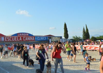 festival-canino-mascota-jardin-2016-293-1024x768