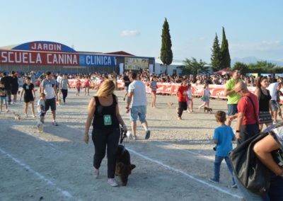 festival-canino-mascota-jardin-2016-294-1024x768