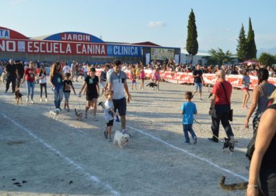 festival-canino-mascota-jardin-2016-295-1024x768