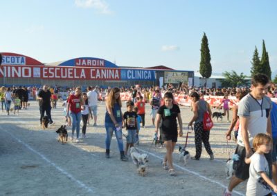 festival-canino-mascota-jardin-2016-296-1024x768