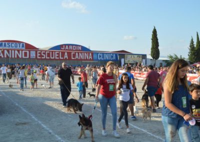 festival-canino-mascota-jardin-2016-297-1024x768