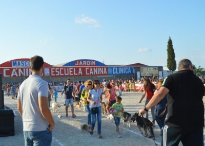 festival-canino-mascota-jardin-2016-298-1024x768