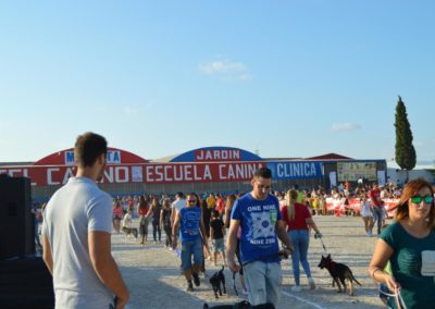 festival-canino-mascota-jardin-2016-301-1024x768