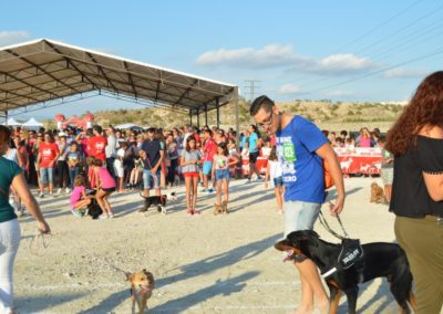 festival-canino-mascota-jardin-2016-304-1024x768