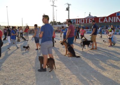 festival-canino-mascota-jardin-2016-308-1024x768