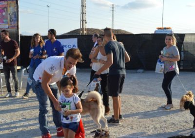 festival-canino-mascota-jardin-2016-339-1024x768