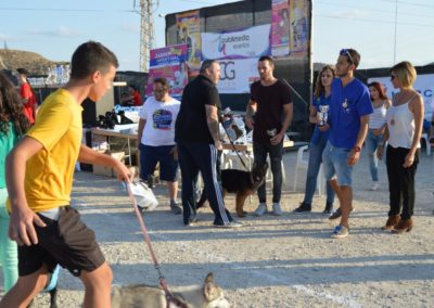 festival-canino-mascota-jardin-2016-341-1024x768