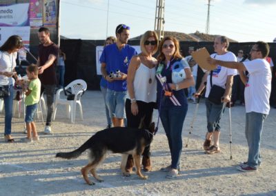 festival-canino-mascota-jardin-2016-366-1024x768