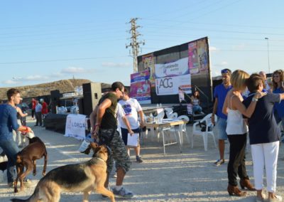 festival-canino-mascota-jardin-2016-401-1024x768